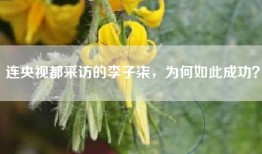 连央视都采访的李子柒，为何如此成功？
