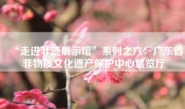 “走进非遗展示馆”系列之六:广东省非物质文化遗产保护中心展览厅