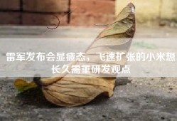 雷军发布会显疲态，飞速扩张的小米想长久需重研发观点