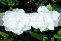 手机屏幕密码忘了（手机屏幕密码忘了又不想清除数据）