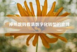 神州数码看清数字化转型的底牌