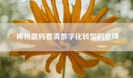 神州数码看清数字化转型的底牌