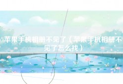 苹果手机相册不见了（苹果手机相册不见了怎么找）