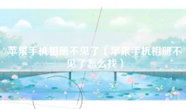 苹果手机相册不见了（苹果手机相册不见了怎么找）
