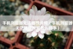 手机浏览器无法播放视频（手机浏览器无法播放视频怎么回事）