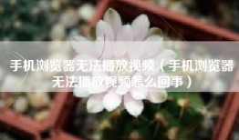 手机浏览器无法播放视频（手机浏览器无法播放视频怎么回事）