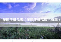 美国手机品牌（美国手机品牌占有率）