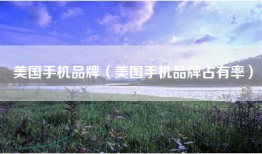 美国手机品牌（美国手机品牌占有率）