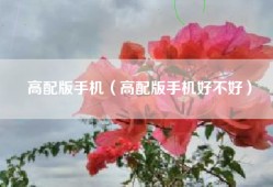 高配版手机（高配版手机好不好）