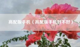高配版手机（高配版手机好不好）