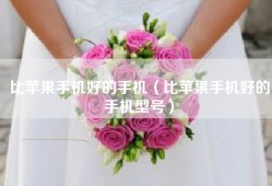 比苹果手机好的手机（比苹果手机好的手机型号）