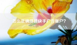 怎么正确搭建快手广告账户？
