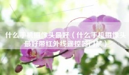 什么手机摄像头最好（什么手机摄像头最好带红外线遥控器门禁）