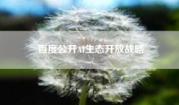 百度公开AI生态开放战略