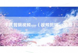 手机剪辑视频app（视频剪辑app免费）