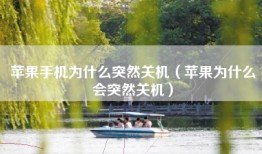 苹果手机为什么突然关机（苹果为什么会突然关机）
