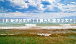 手机充电器类型（手机充电器类型大全）