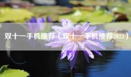 双十一手机推荐（双十一手机推荐2023）