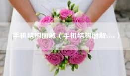 手机结构图解（手机结构图解vivo）