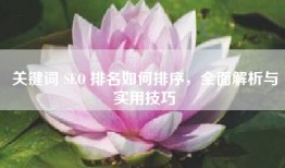 关键词 SEO 排名如何排序，全面解析与实用技巧