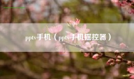pptv手机（pptv手机摇控器）