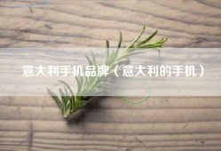 意大利手机品牌（意大利的手机）