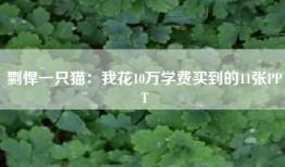 剽悍一只猫：我花10万学费买到的11张PPT