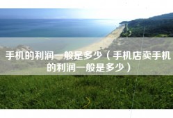 手机的利润一般是多少（手机店卖手机的利润一般是多少）