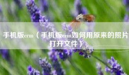 手机版crm（手机版crm如何用原来的照片打开文件）