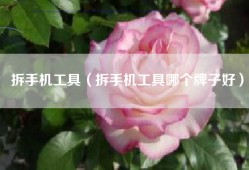 拆手机工具（拆手机工具哪个牌子好）