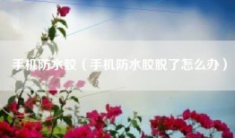 手机防水胶（手机防水胶脱了怎么办）