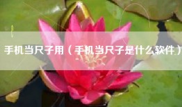 手机当尺子用（手机当尺子是什么软件）