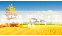 你知道谁才是 “最懂程序员” 的搜索引擎？_最懂程序员的新一代 ai 搜索引擎有哪些