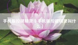 手机版按键精灵（手机版按键精灵叫什么）