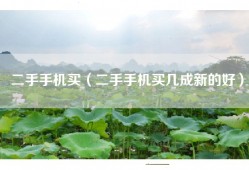 二手手机买（二手手机买几成新的好）