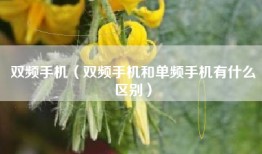 双频手机（双频手机和单频手机有什么区别）