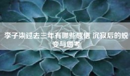 李子柒过去三年有哪些感悟 沉寂后的蜕变与思考
