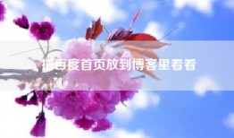 把百度首页放到博客里看看