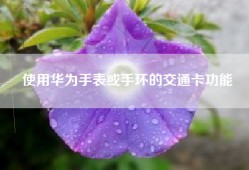 使用华为手表或手环的交通卡功能