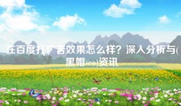 在百度打广告效果怎么样？深入分析与(黑帽seo)资讯