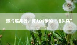 液冷服务器，算力减碳的“排头兵”