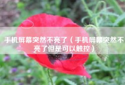手机屏幕突然不亮了（手机屏幕突然不亮了但是可以触控）