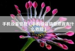 手机设备信息（手机设备信息泄露有什么危险）