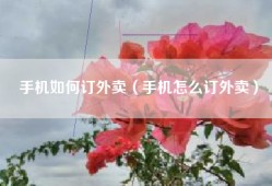 手机如何订外卖（手机怎么订外卖）