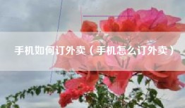 手机如何订外卖（手机怎么订外卖）