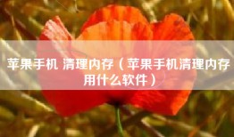 苹果手机 清理内存（苹果手机清理内存用什么软件）