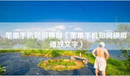 苹果手机如何横屏（苹果手机如何横屏播放文字）