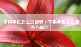 苹果手机怎么加密码（苹果手机怎么加密码微信）