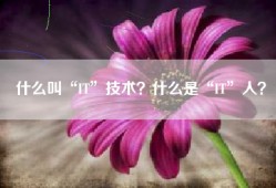 什么叫“IT”技术？什么是“IT”人？