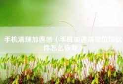 手机清理加速器（手机加速清理垃圾软件怎么恢复）